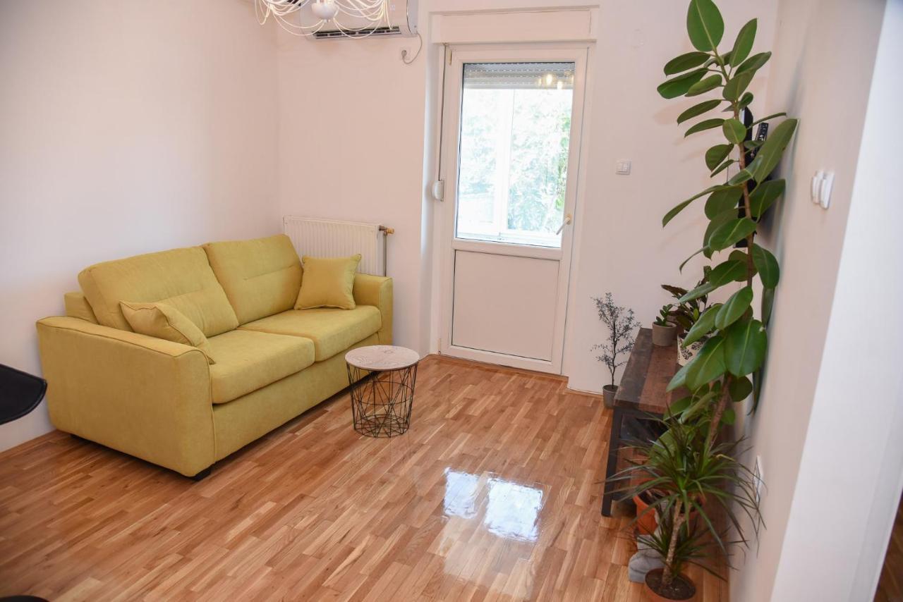 Garden Apartment - Oaza U Centru Grada Novi Sad Bagian luar foto