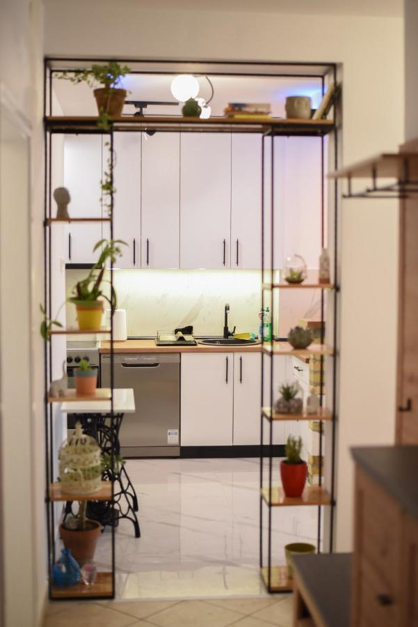 Garden Apartment - Oaza U Centru Grada Novi Sad Bagian luar foto