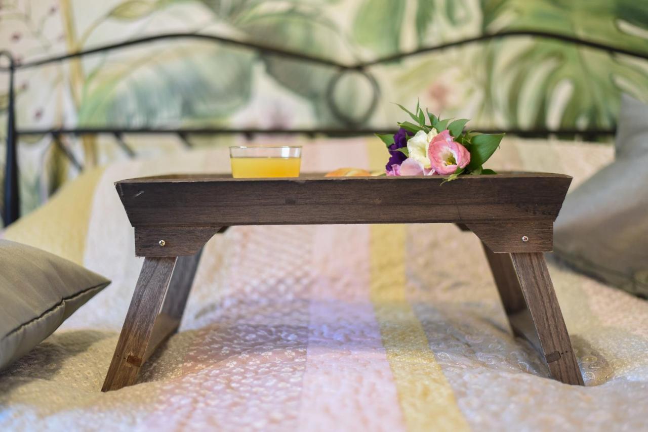 Garden Apartment - Oaza U Centru Grada Novi Sad Bagian luar foto